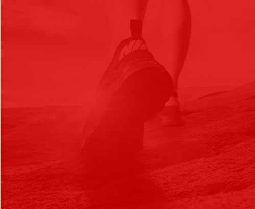 武清建站公司 武清建站公司